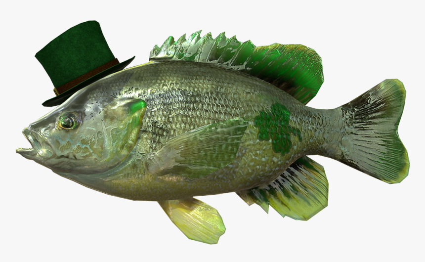 St Patty's Day Fish, HD Png Download, Free Download