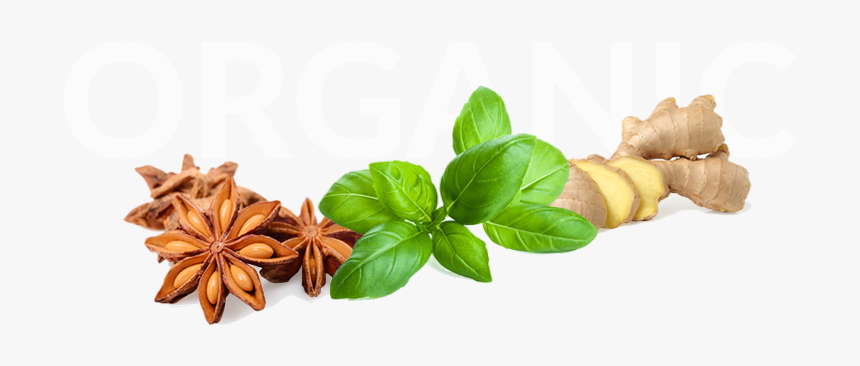 P 961x472, Spices, Pictures V - Basil, HD Png Download, Free Download