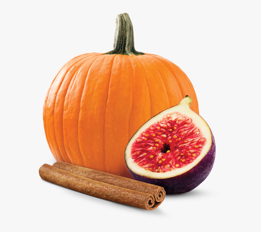 Pumpkin Spice - Pumpkin Carving Ideas Panda, HD Png Download, Free Download