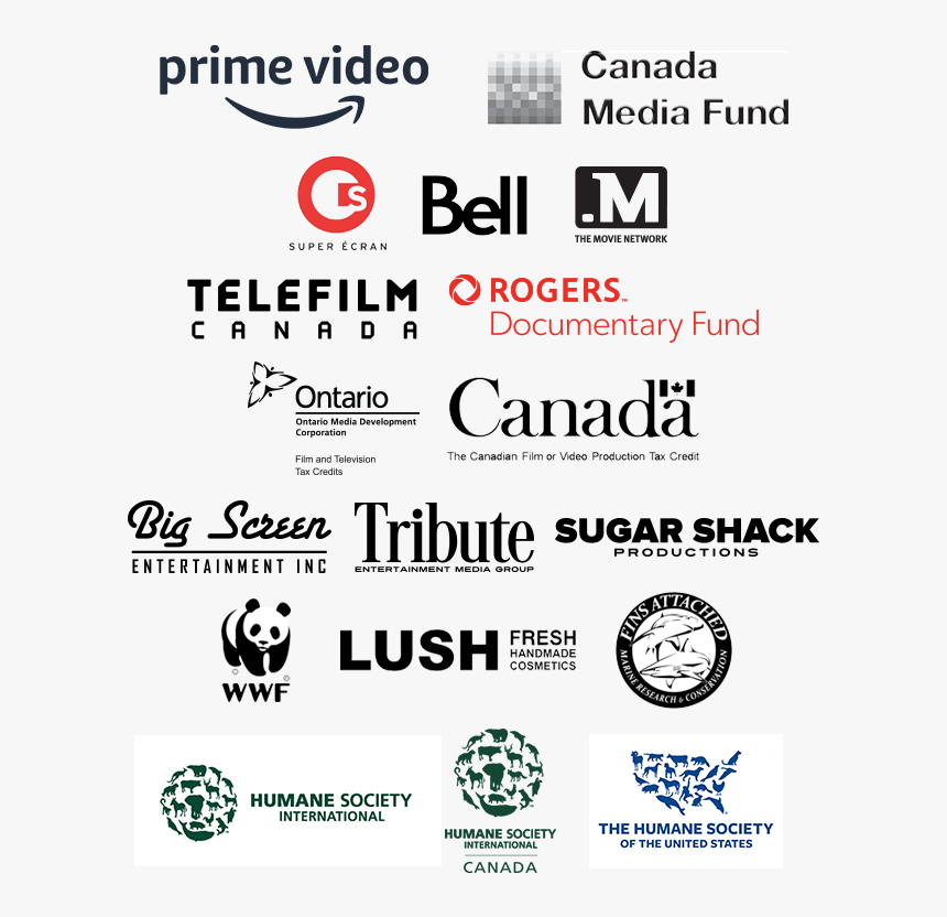 Team Sharkwater Partners - Logo Canadian Television Bell Fund Credits, HD Png Download, Free Download