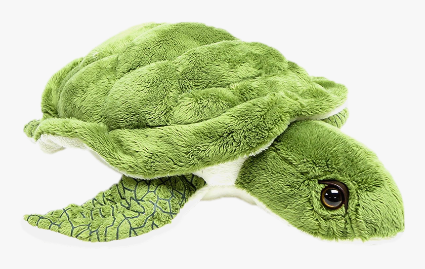 sea turtle stuffed animal