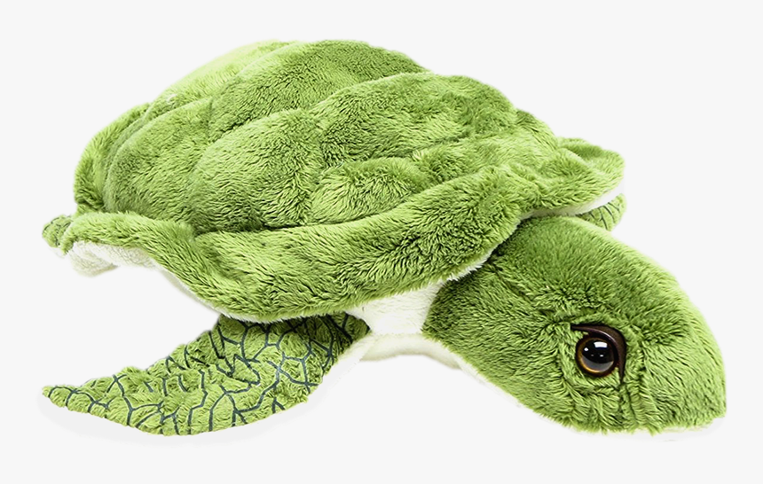 Wishpets - Sea Turtle Stuffed Animal Cheap, HD Png Download, Free Download