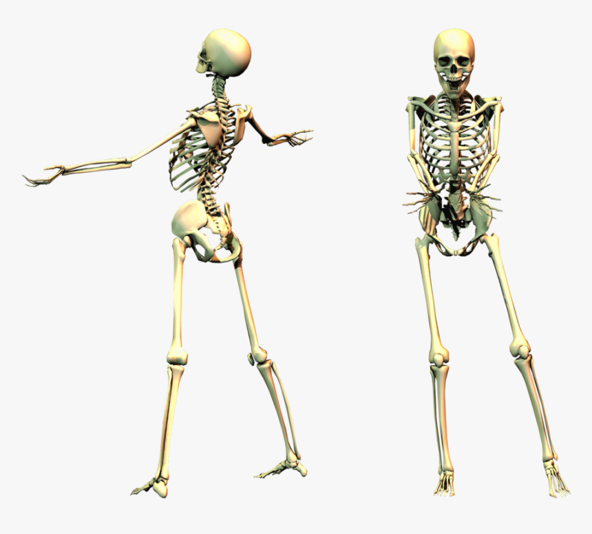 Spooky Png , Png Download - Spooky Skeleton Png, Transparent Png, Free Download