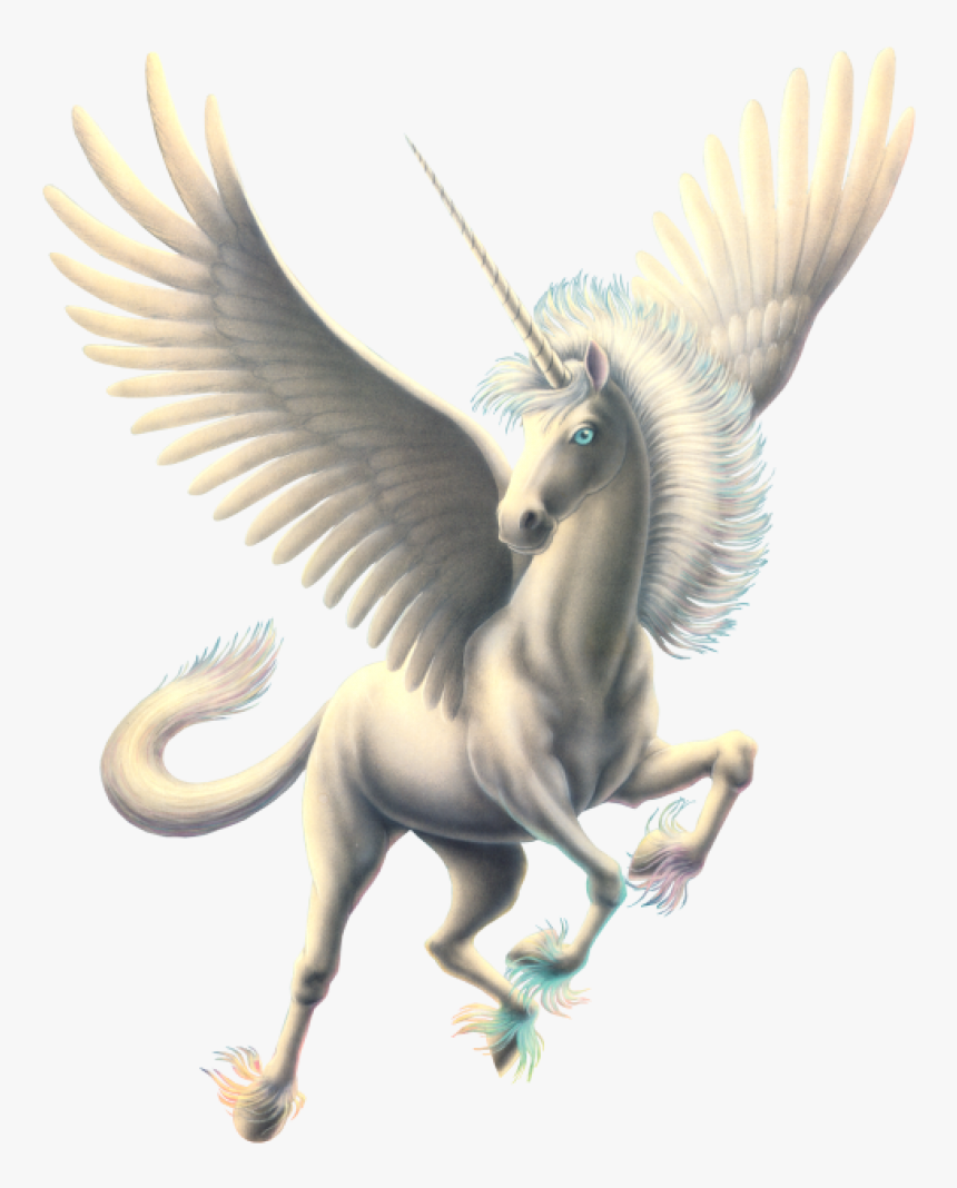 Pegasus Images Png - Transparent Pegasus Png, Png Download, Free Download