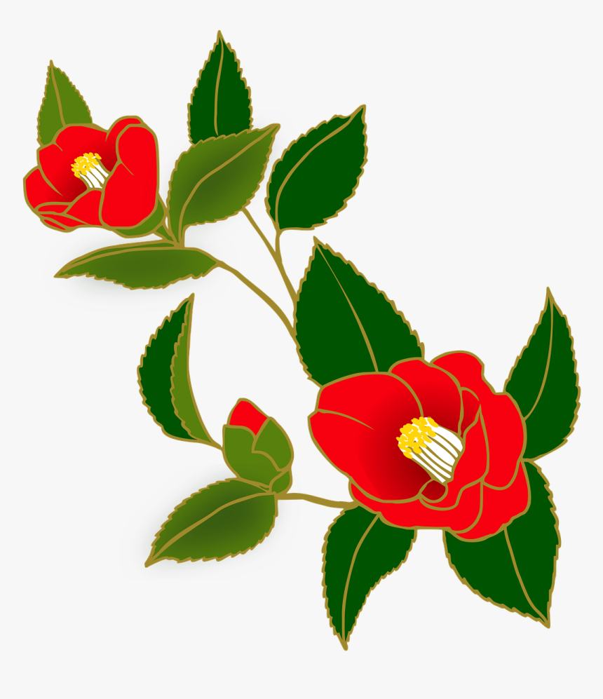 Camellia Flower Japanese Art, HD Png Download, Free Download