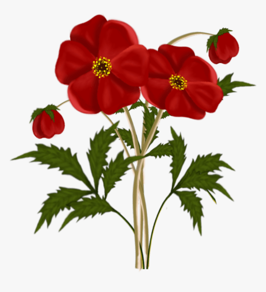Frames & Png Red Flowers Clipart - Red Flower Clipart Png, Transparent Png, Free Download