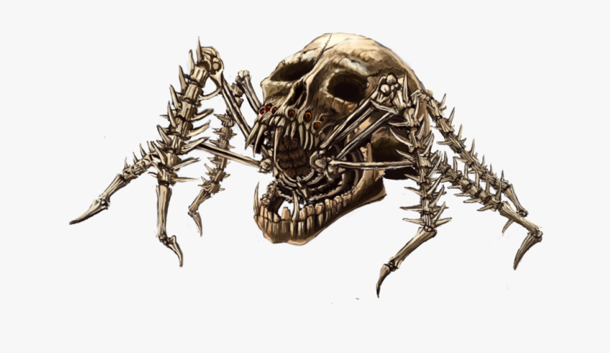 204-2045454_skull-spider-png-transparent-png.png