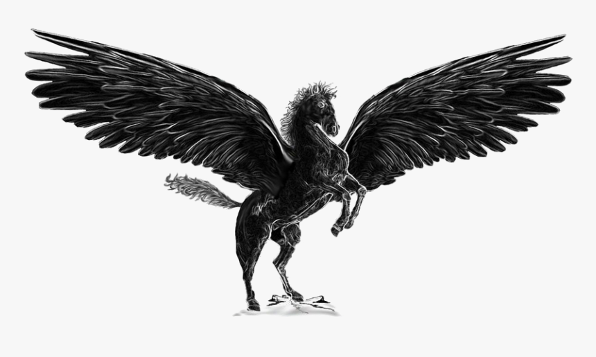 Pegasus Png Image - Black Pegasus Drawing, Transparent Png, Free Download