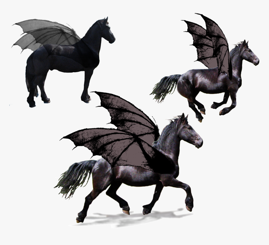Standardbred Friesian Horse Trot Equestrian Pegasus - Black Stallion Horse Trotting, HD Png Download, Free Download