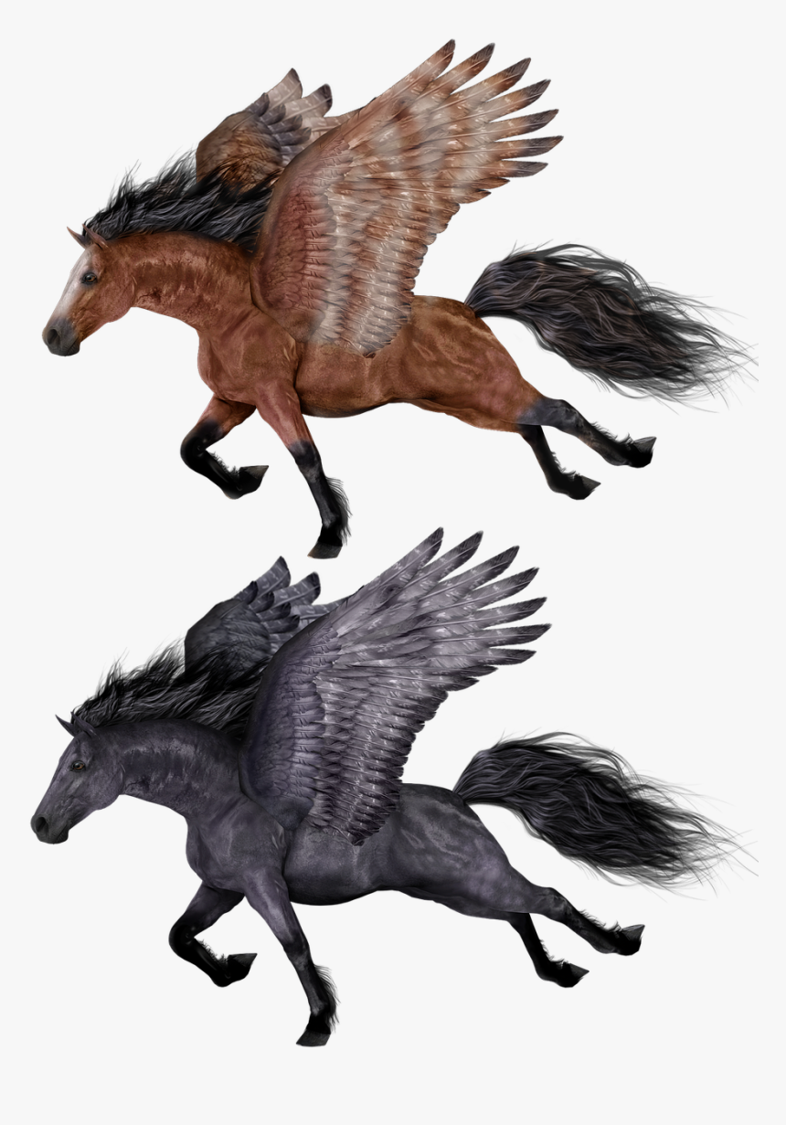 Transparent Pegasus Png - Transparent Black Horse With Wings, Png Download, Free Download