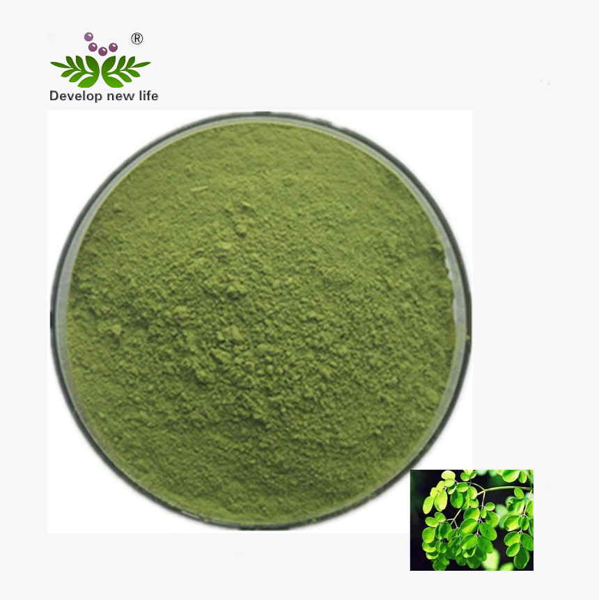 Oem Loss Weight Bulk Moringa Powder Leaf Capsule Malunggay - Circle, HD Png Download, Free Download