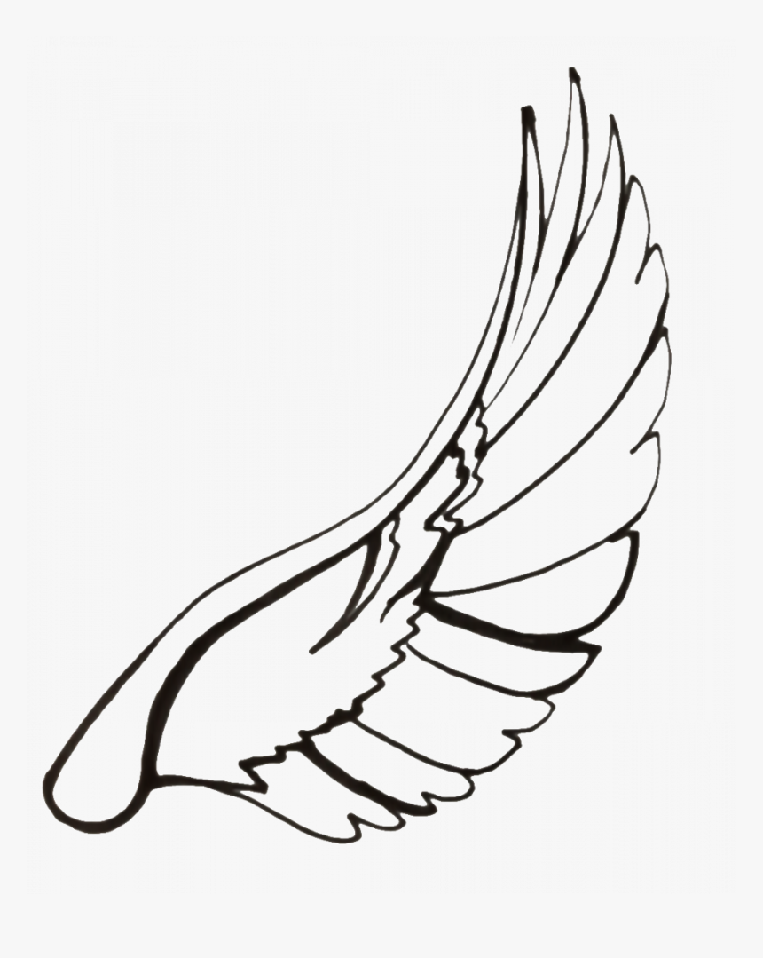Wings Of A Dove Drawing, HD Png Download, Free Download