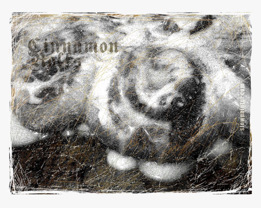 Cinnamon Rolls - Motif - Motif, HD Png Download, Free Download