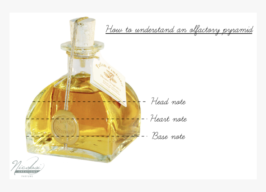 Nicolosi En - Perfume Bottle Structure, HD Png Download, Free Download