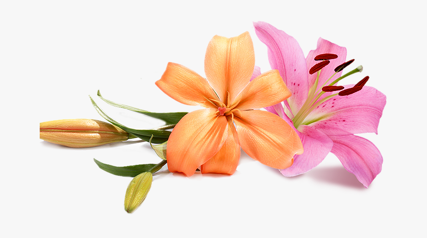 Wedding Flowers Png - Wedding Peach Flowers Png, Transparent Png, Free Download