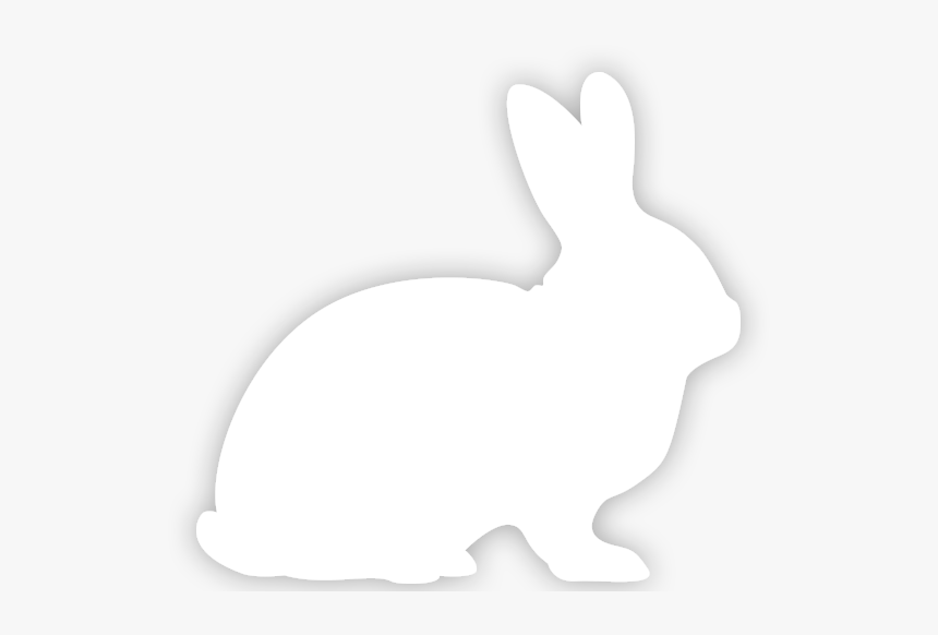 Pet Obesity - White Rabbit Silhouette Transparent, HD Png Download, Free Download