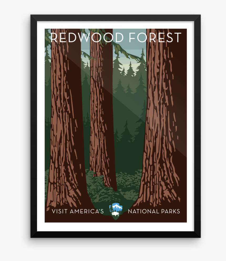 Redwood Forest Print - Poster, HD Png Download, Free Download