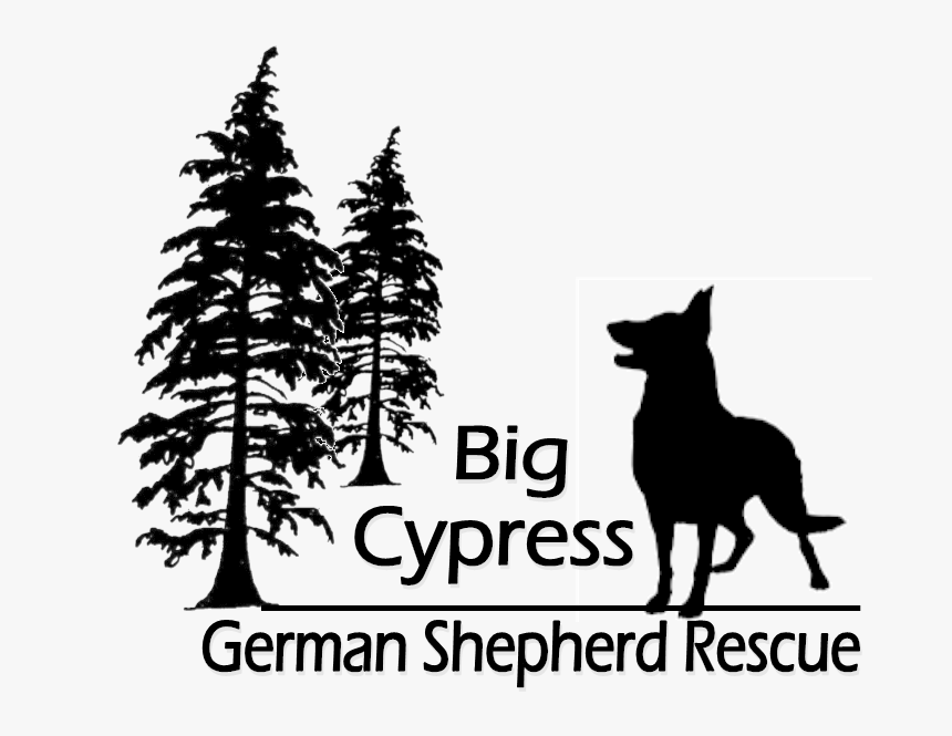 Cropped Logo Png - Big Cypress German Shepherd Rescue, Transparent Png, Free Download