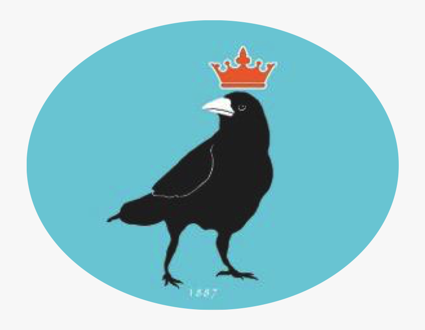 Transparent Crow Silhouette Png - American Crow, Png Download, Free Download