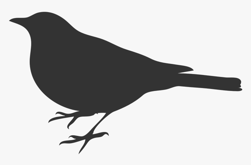 Mockingbird Clipart, HD Png Download, Free Download