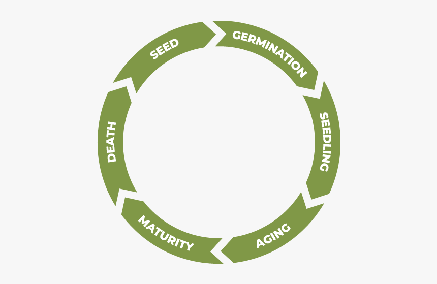 Release Management Lifecycle For Software, HD Png Download, Free Download