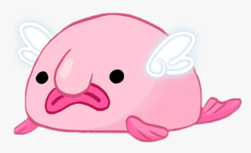 Blobfish Png - Hd - Blobfisch Png, Transparent Png, Free Download