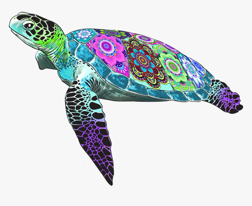 Tina The Turtle - Hawksbill Sea Turtle, HD Png Download, Free Download