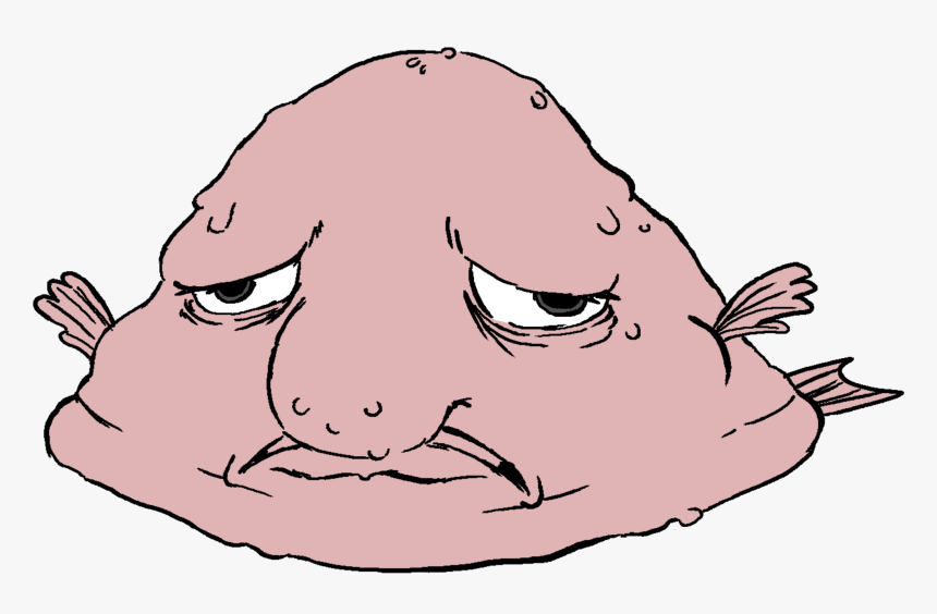 Blobfish Png, Transparent Png, Free Download