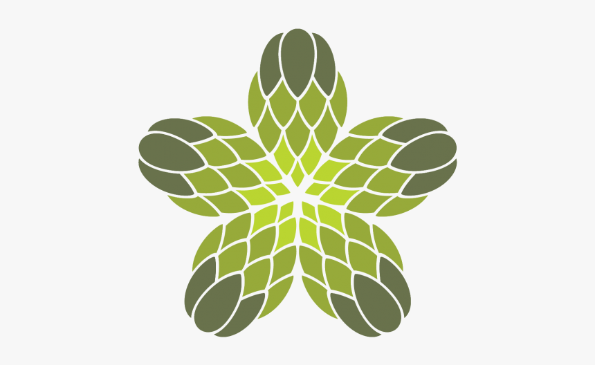 Fibonacci Brewery, HD Png Download, Free Download