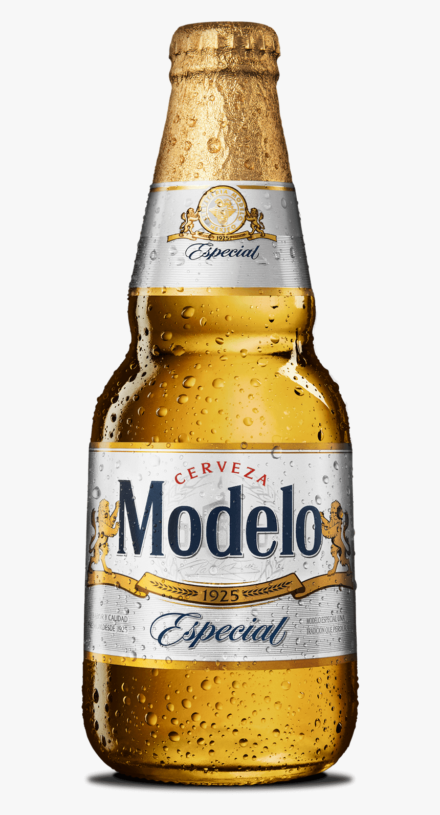 Modelo especial hd png download kindpng