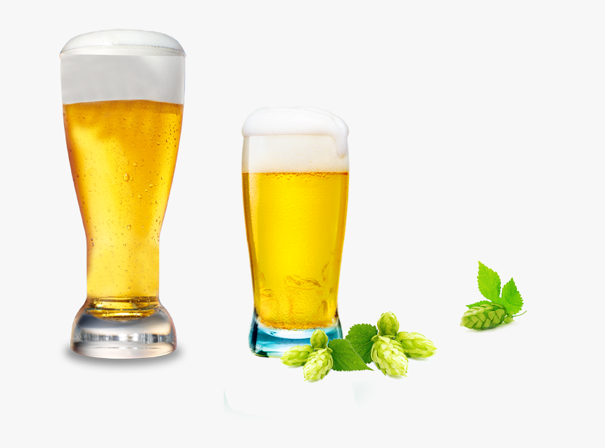 Beer Cup Png Banner Transparent Download - Cup Of Beer Png, Png Download, Free Download