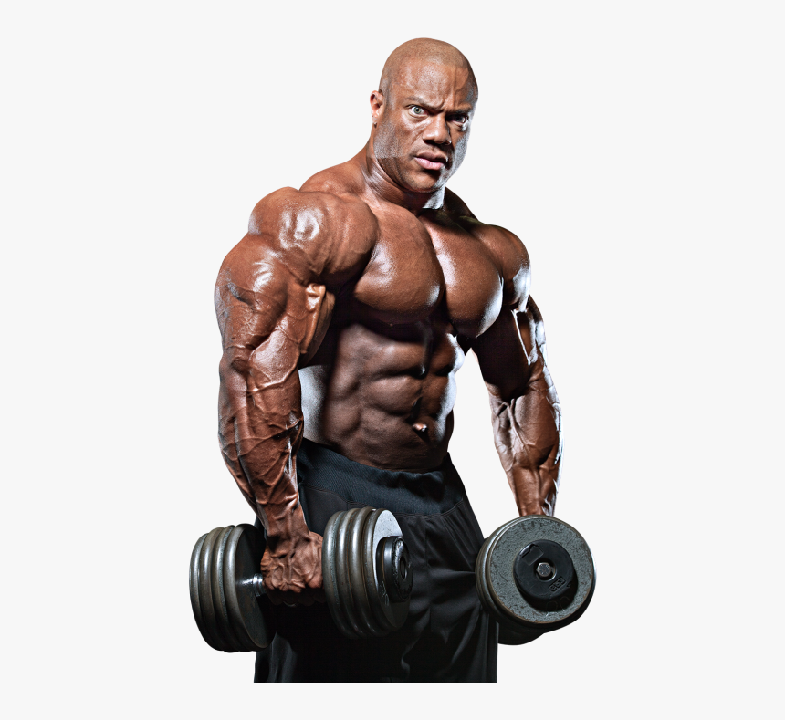 Bodybuilding Png Images - Bodybuilders Png, Transparent Png, Free Download