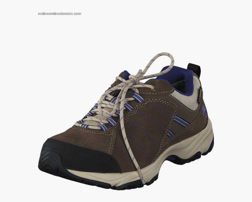 Women"s Timberland Tilton Low Gtx Light Brown - Shoe, HD Png Download, Free Download