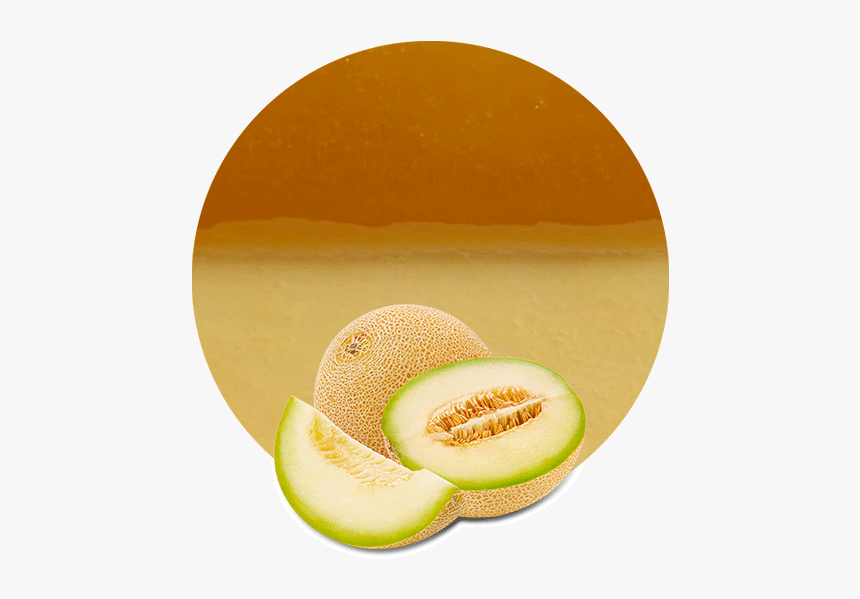 Honeydew, HD Png Download, Free Download