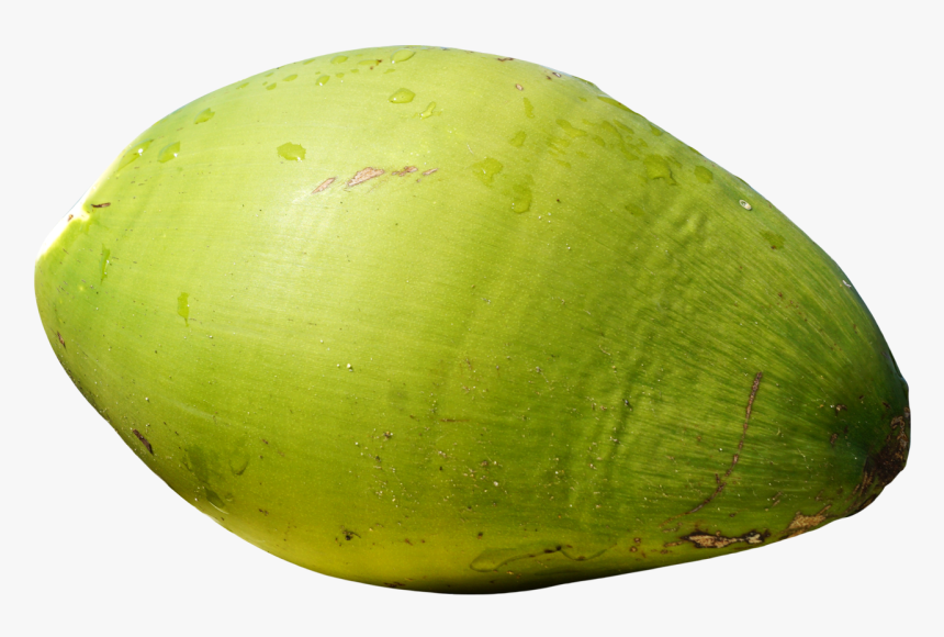 Green Coconut Transparent Background, HD Png Download, Free Download