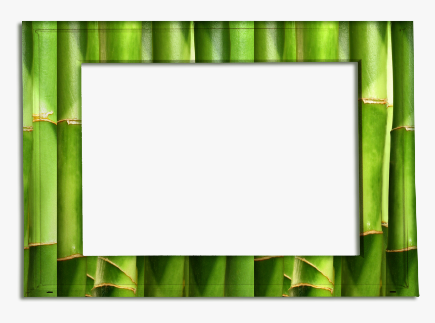 Transparent Bamboo Frame Png - Spa Bamboo Frame, Png Download, Free Download