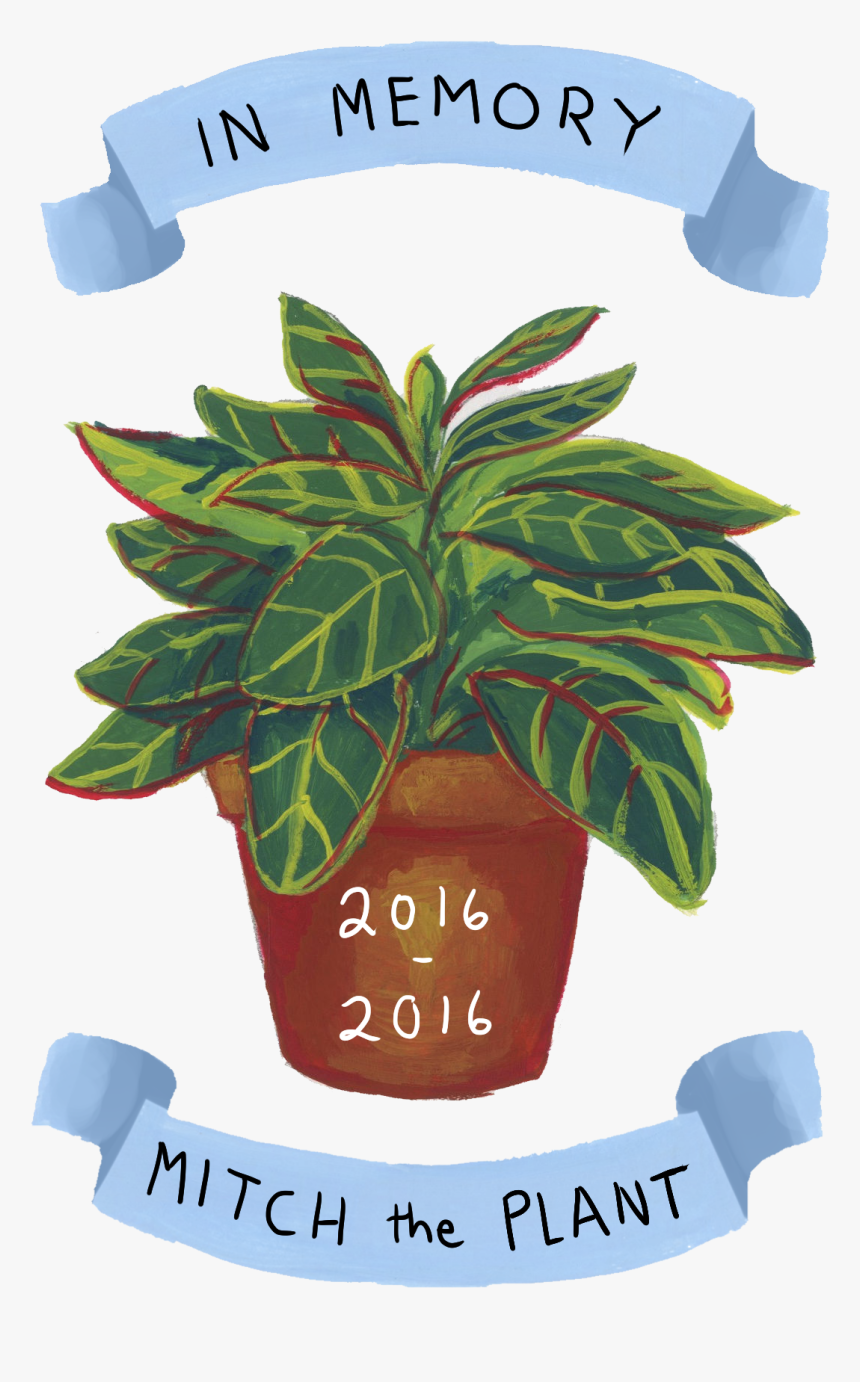 A Small Portrait I Made For Cody Rhodes As A Thank - Houseplant, HD Png Download, Free Download