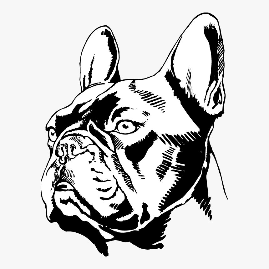 French Bulldog Png, Transparent Png, Free Download