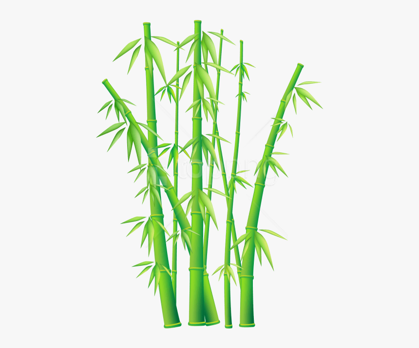 Bamboo - Bamboo Tree Transparent Background, HD Png Download, Free Download