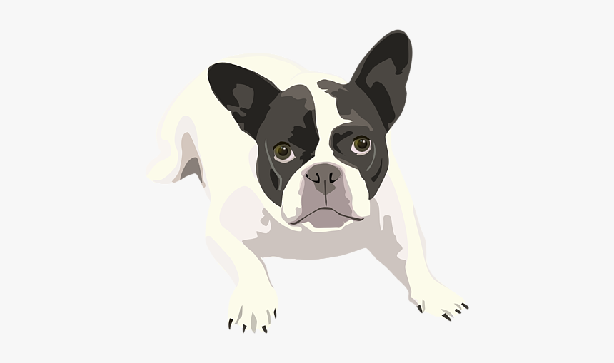 Black And White French Bulldog, HD Png Download, Free Download