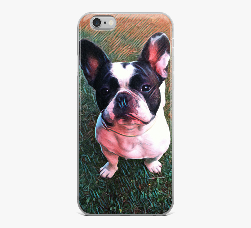 French Bulldog, HD Png Download, Free Download