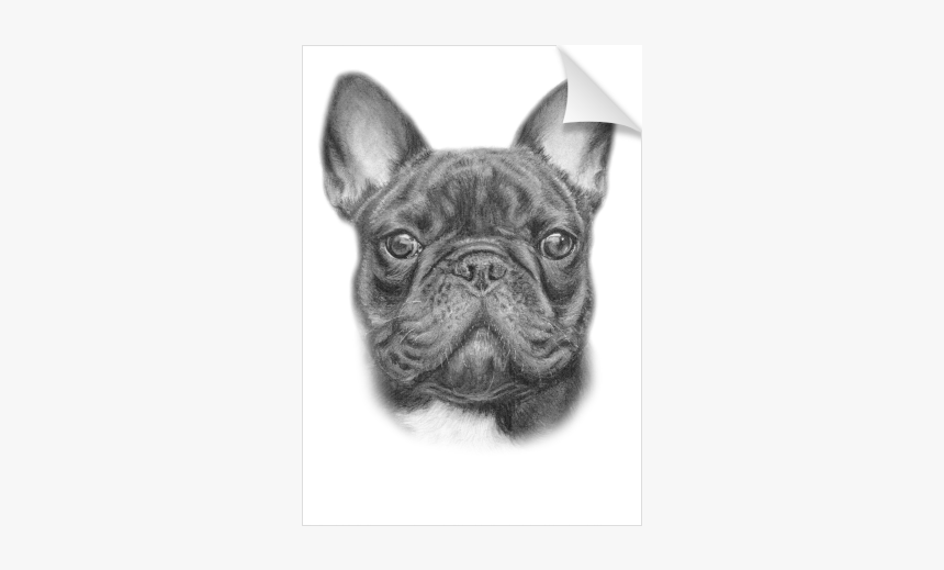 French Bulldogs Diamond Dotz, HD Png Download, Free Download