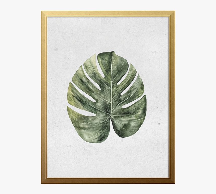 Palm Branch Art Print - Monstera Deliciosa, HD Png Download, Free Download