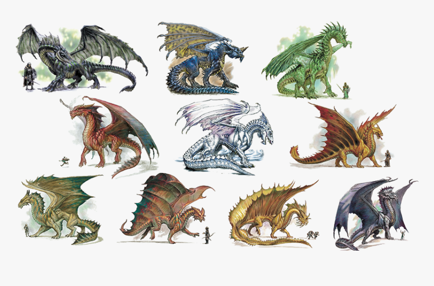 Vs Debating Wiki - Dnd Dragons, HD Png Download, Free Download