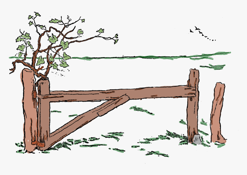 Fence Country Field Tree Image - Lumber, HD Png Download, Free Download