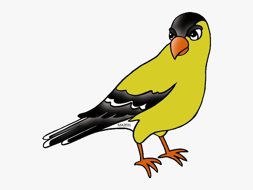 New Jersey State Bird - New Jersey State Bird Clip Art, HD Png Download, Free Download
