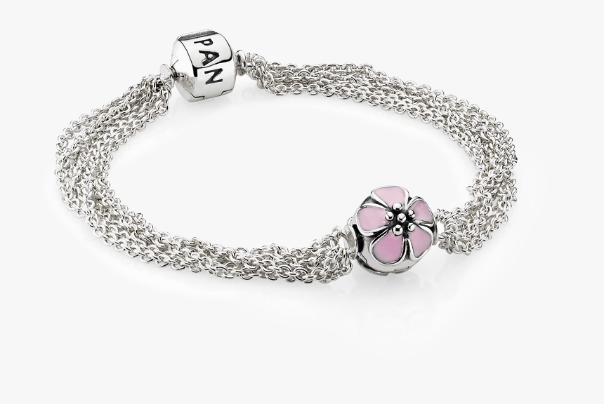 Pandora Moments Bracelet - Pandora Bracelet Transparent Background, HD Png Download, Free Download