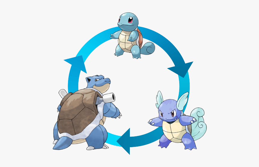 A Squirtle Becomes A Wartortle, A Wartortle Becomes, HD Png Download, Free Download