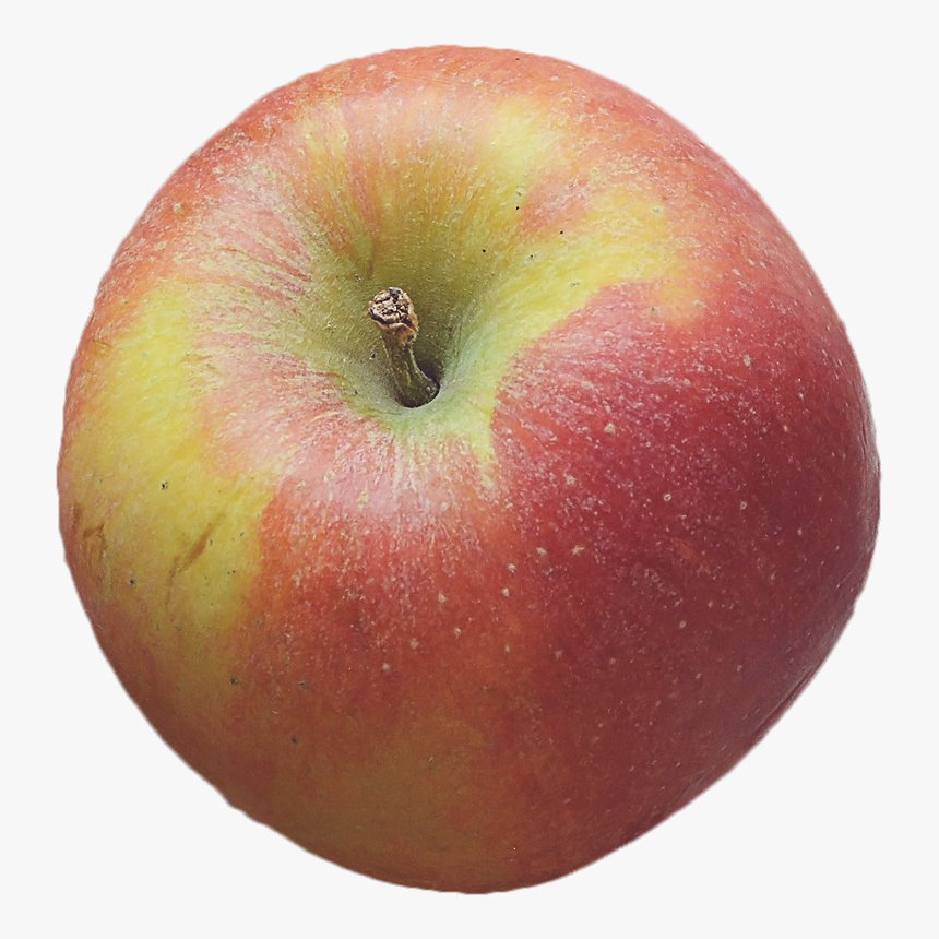 Free Thanksgiving Red Apple Png Image - Mcintosh, Transparent Png, Free Download