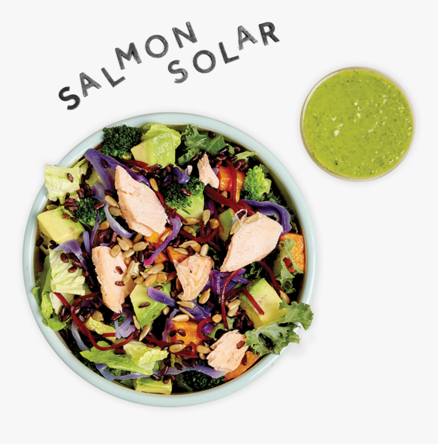 1 Salmonsolar Salad Web 2 - Fattoush, HD Png Download, Free Download